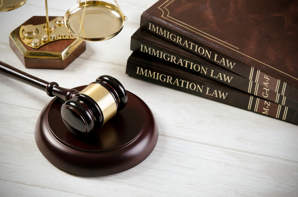 TPS and immigration law